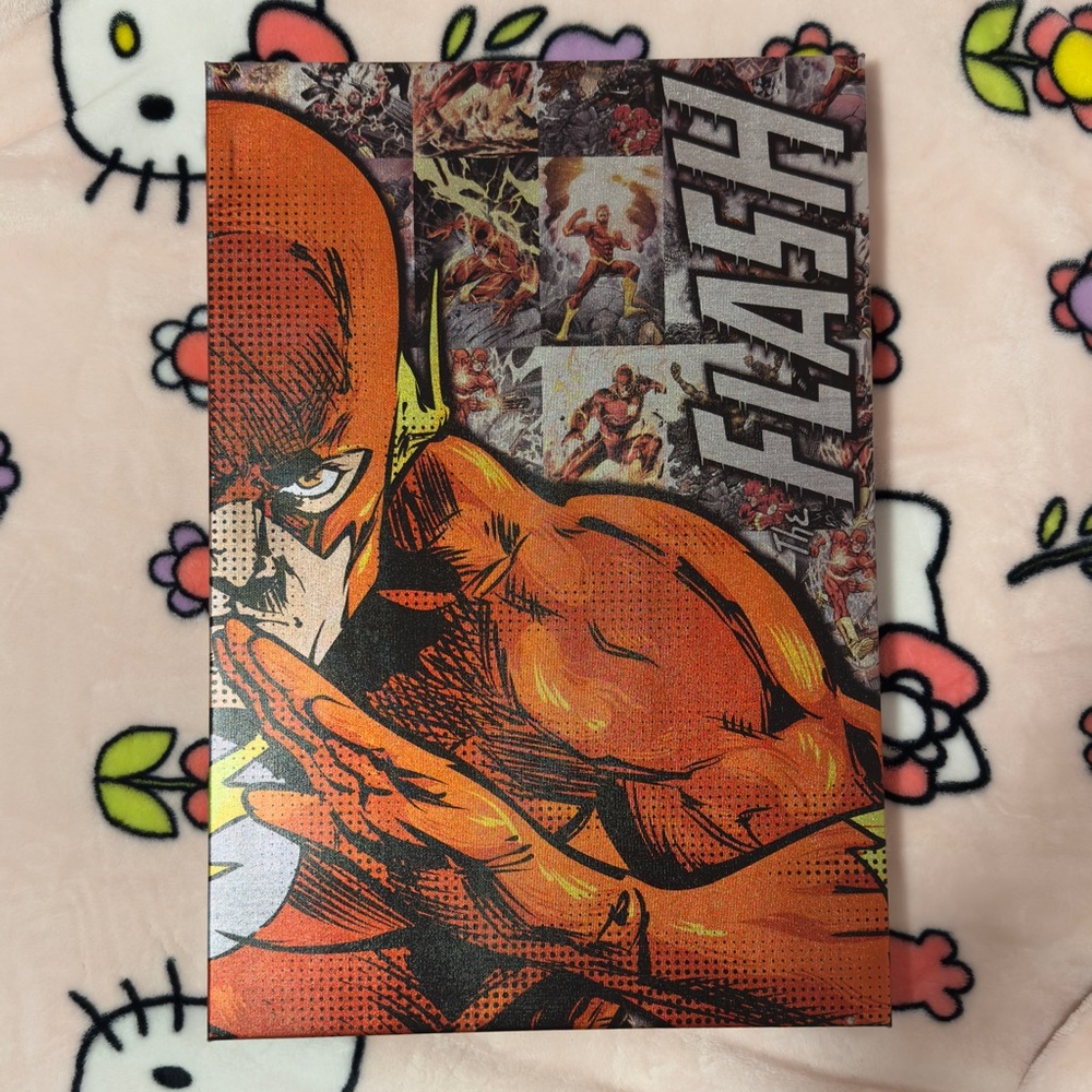 The Flash Canvas Hanging Art